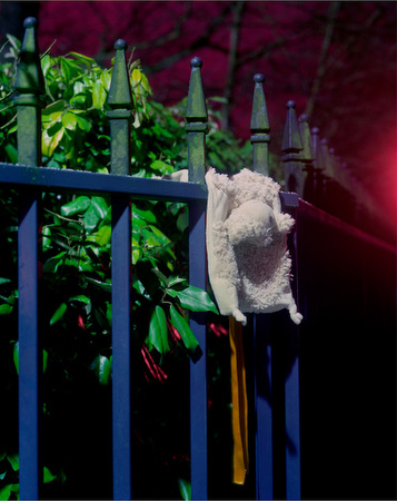 Edinburgh Fence